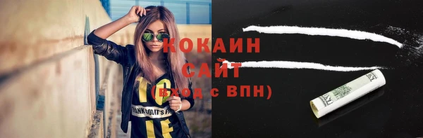 спайс Алексин