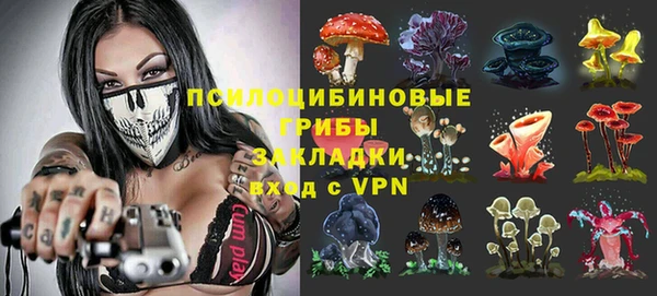 синтетический гашиш Алексеевка