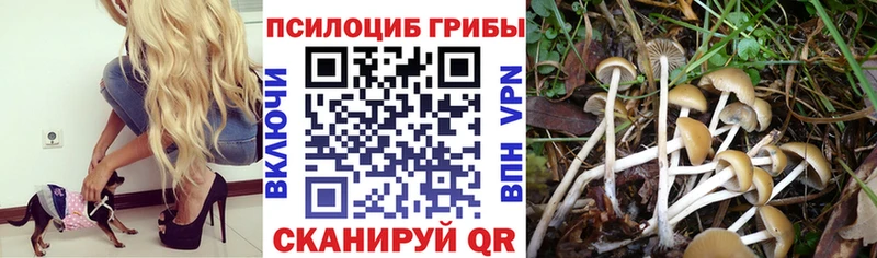 Псилоцибиновые грибы Magic Shrooms  как найти наркотики  Чапаевск 