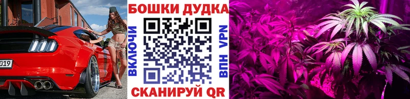 Конопля SATIVA & INDICA  Чапаевск 